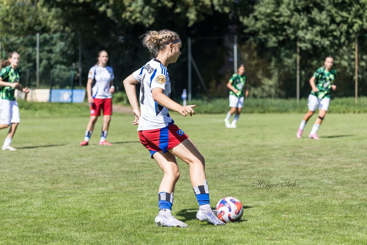 Bild 63 - wBJ Hamburger SV - VfL Wolfsburg : Ergebnis: 5:1